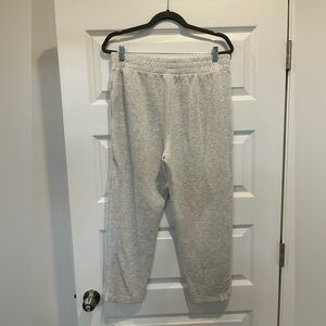 Danskin Retro Luxe Cropped Joggers BNWOT Size L